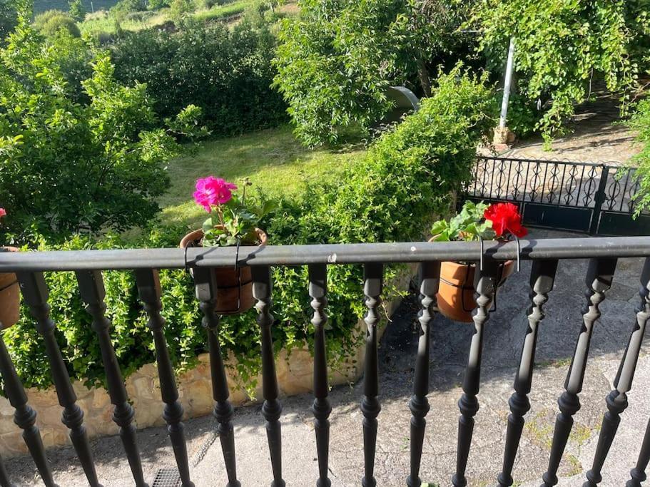 Abeleda Casa A Boga Ribeira Sacra 빌라 외부 사진