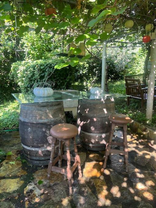 Abeleda Casa A Boga Ribeira Sacra 빌라 외부 사진