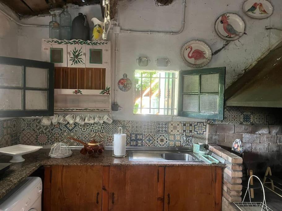 Abeleda Casa A Boga Ribeira Sacra 빌라 외부 사진