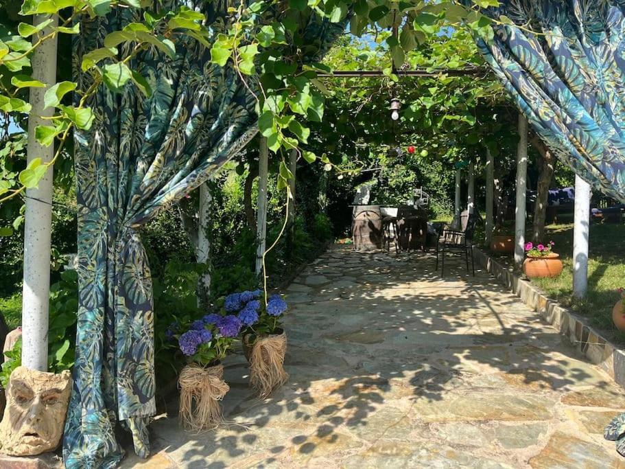 Abeleda Casa A Boga Ribeira Sacra 빌라 외부 사진