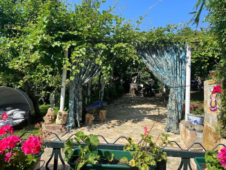 Abeleda Casa A Boga Ribeira Sacra 빌라 외부 사진